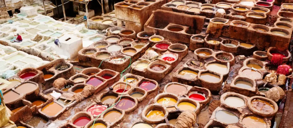 Chouara Tannery in Fes