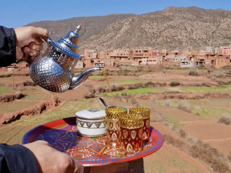 Traditional Moroccan mint tea served with a mountain village view in Ourika Valley