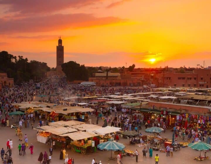 Best Things to Do in Marrakech