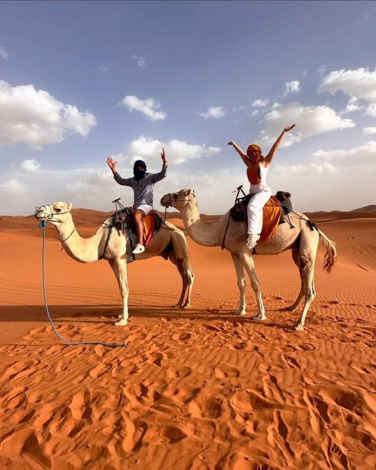 Camel with traditional Moroccan/Desert saddle