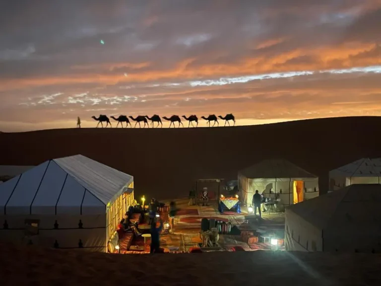 Camel caravan approaching a Sahara desert camp