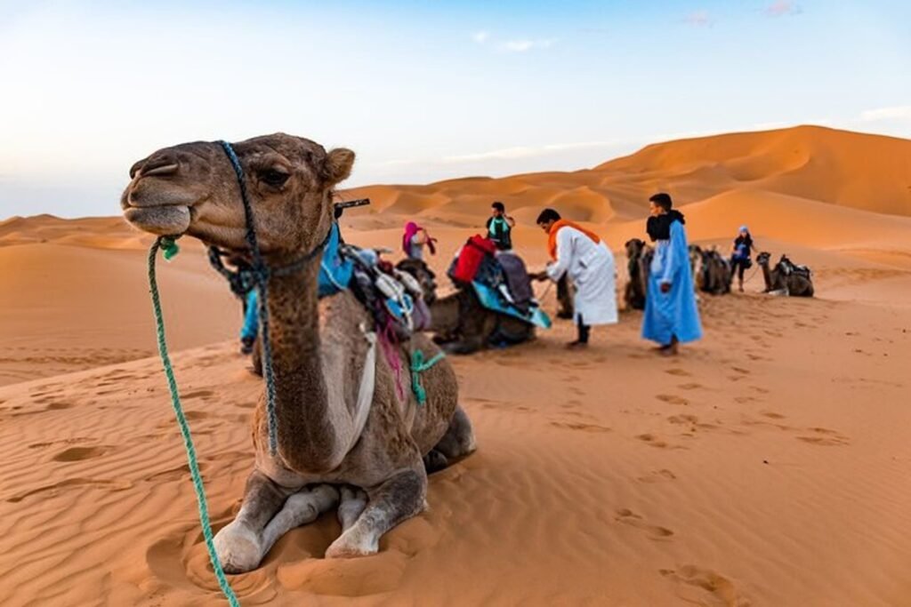 The journey to the vast Erg Chigaga dunes