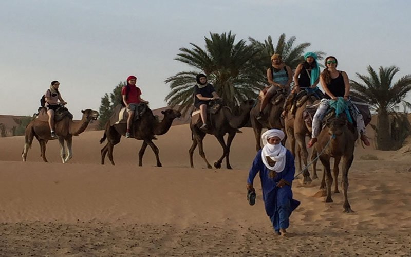 The Draa Valley – Camel Riding Among Palm Groves