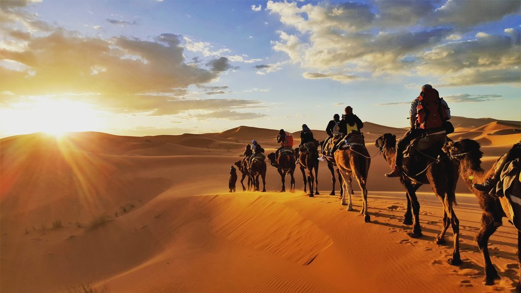 Sunset Camel Ride in Merzouga