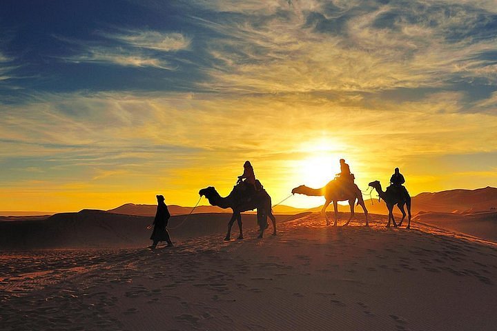 Morocco Desert Excursions: Complete Sahara Guide