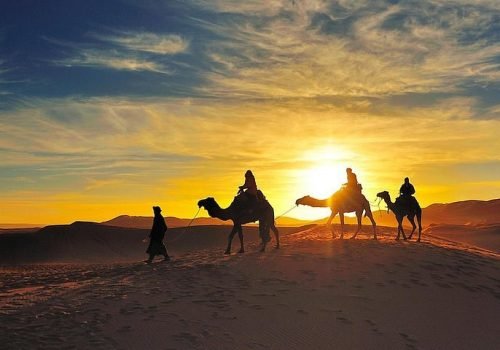 Enjoy a sunset camel trek in Merzouga